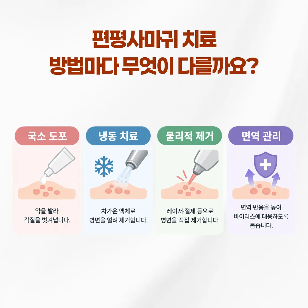 사마귀 치료 접근을 세 갈래 원리와 네 가지 카테고리로 묶은 관계도
